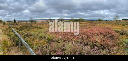 Panoramablick auf das Naturschutzgebiet High Fens in Belgien gegen den bewölkten Himmel Stockfoto