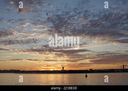 Blick auf den Sonnenuntergang Barra Beach, Aveiro, Portugal, Europa Stockfoto