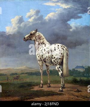 Das piebalde Pferd von Paulus Potter (1625-1654 ), Öl auf Leinwand, 1650-54 Stockfoto