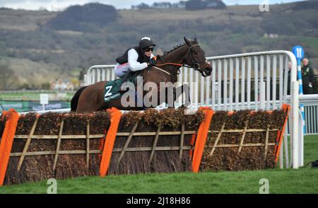 Paddy Power Stayers Hurdle Day der spätere Gewinner Flooring Porter, der von Daniel Mullins auf der ersten Strecke gesprungen ist Drei in Cheltenham Racecou Stockfoto