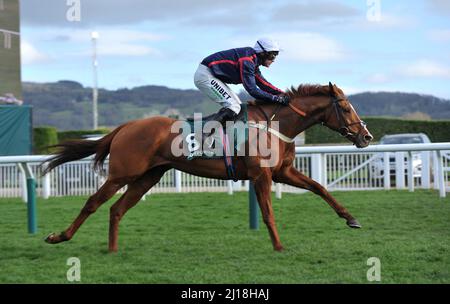 Paddy Power Stayers Hurdle Day Song für jemanden, der von Nico de Boinville auf dem Weg den Hügel hinauf zum Ziel geritten wurde.Tag drei bei Cheltenham Racecour Stockfoto