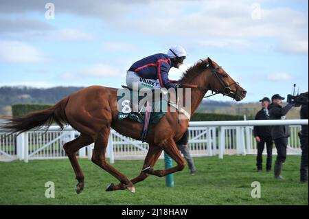 Paddy Power Stayers Hurdle Day Song für jemanden, der von Nico de Boinville auf dem Weg den Hügel hinauf zum Ziel geritten wurde.Tag drei bei Cheltenham Racecour Stockfoto