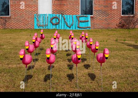Kunststoff Rosa Flamingos mit Liebe Zeichen im Hintergrund Stockfoto