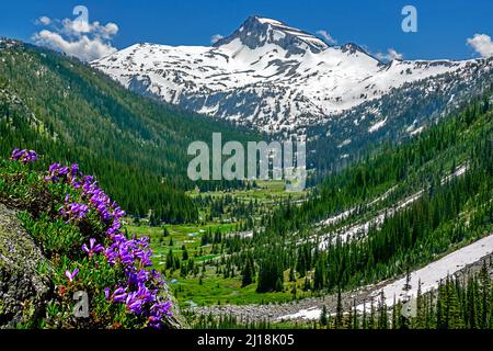 Eagle Cap Mountain und East Fork Lostine River in Eagle Cap Wilderness, Oregon Stockfoto