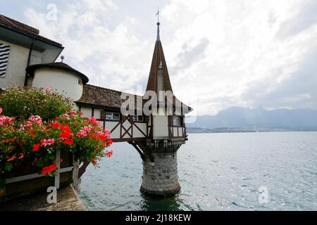 Oberhofen, Schweiz - 08. September 2015: Kleiner Turm im Thunersee ist eine typische architektonische Ergänzung des Schlosses von Oberho aus dem 19.. Jahrhundert Stockfoto