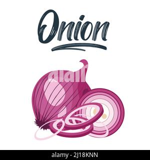 Set mit roten Zwiebeln. Halbieren, in Scheiben schneiden und Zwiebelringe schneiden. Isolierte Vektordarstellung. Stock Vektor