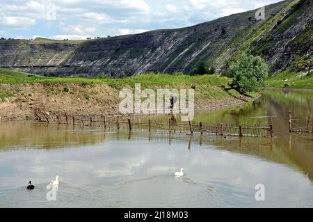 Der Raut-Fluss im Orhei-Nationalpark, Moldawien. Enten auf dem Fluss unterhalb einer Böschung auf dem Land in der Nähe von Old Orhei. Stockfoto