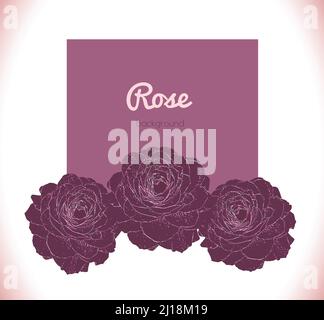 Abstraktes florales Naturmuster. Schöne dunkelviolette Rose isoliert auf weißem Hintergrund. Vektorgrafik. Stock Vektor