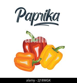 Vektor-Set aus vier verschiedenen farbigen Paprika, farbigen Gelb Grün Orange und Rot Süße bulgarischen Bell Peppers, Paprika isoliert auf weißem Hintergrund Stock Vektor