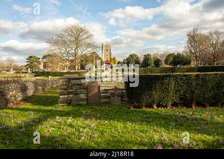 Pfarrkirche St. Mary in Beddington Park, Groß-London, England, Europa Stockfoto