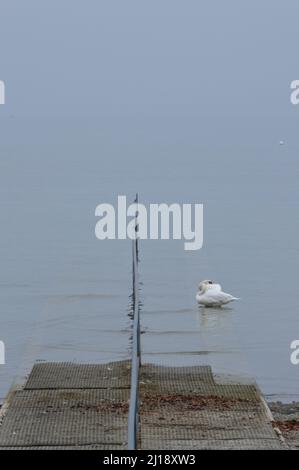 Bilder vom See und der Stadt Konstanz, Deutschland Stockfoto