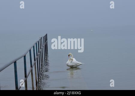 Bilder vom See und der Stadt Konstanz, Deutschland Stockfoto