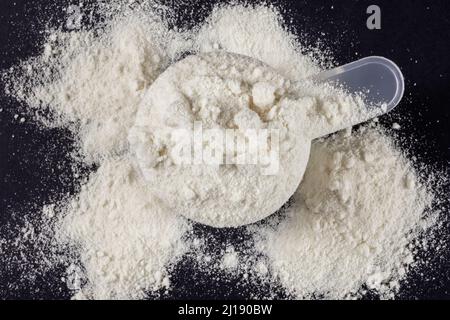 Schaufel aus Molkenproteinpulver. Sporternährung. Stockfoto