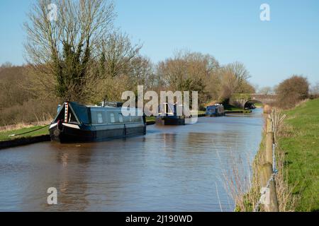 Kanal oder schmale Boote, die auf dem Middlewich-Zweig des Shropshire Union Kanals festgemacht sind. Stockfoto