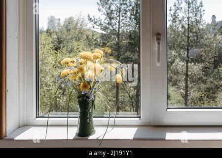 Bouquet von gelben Delelons in einer Tonvase, die auf dem Fensterbrett beim offenen Fenster auf dem Land steht Stockfoto
