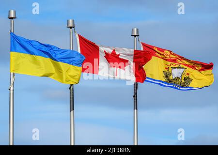 Ukrainische, kanadische und New Brunswick Flaggen fliegen in einer Reihe. Viele Kanadier fliegen während der russischen Invasion unter ukrainischer Flagge zur Unterstützung der Ukraine. Stockfoto