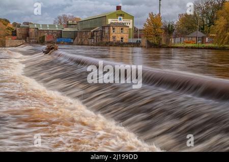 Wehr am Fluss Wharfe Otley West Yorkshire zeigt die Papierfabrik des abgerissenen Garnet und wurde nun mit Wohnhäusern saniert. Stockfoto