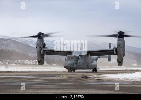 Der Kommandant des Marine Corps, General David H. Berger, fährt während der Übung Cold Response 2022, Bardufoss Air Station, Norwegen, 22. März 2022 in einem MV-22B Fischadler. Die MV-22B Osprey ist Marine Medium Tiltrotor Squadron 261 zugeordnet. Übung Cold Response ’22 ist eine alle zwei Jahre stattfindende Übung in ganz Norwegen, an der jeder seiner Militärdienste sowie 26 weitere mit der Organisation des Nordatlantikvertrags verbundene Nationen und regionale Partner teilnehmen. (USA Foto des Marine Corps von Chief Warrant Officer 2 Bryan Nygaard) Stockfoto