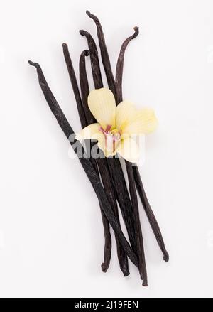 Getrocknete Vanillestäbchen und Blüten isoliert auf weißem Hintergrund. Stockfoto