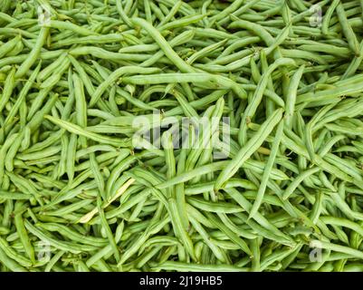 Stapel grüner Bohnen, auch als französische Bohnen, Schnur oder Schnaps bekannt, frisch geernteter Gemüsehintergrund, Nahaufnahme Stockfoto