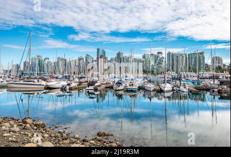 Hafen mit Segelbooten, zurück Zentrum mit Wolkenkratzern, Coal Harbour, Vancouver, British Columbia, Kanada Stockfoto