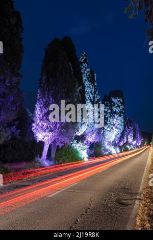 Viale dei Cipressi, berühmte Zypressenallee, in der Nähe von Bolgheri, Maremma, Provinz Livorno, Toskana, Italien Stockfoto