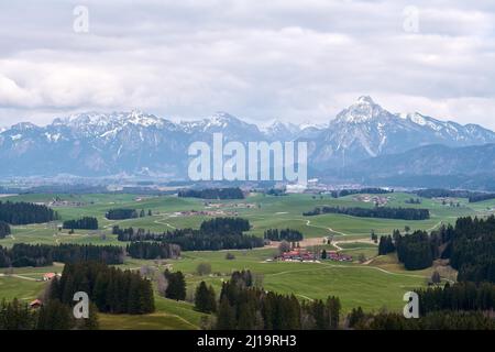 Bergpanorama von Eisenberg mit Sauling und Königsschlössern, Oberbayern, Bayern, Deutschland, Proebsten, Eisenberg, Bayern, Deutschland Stockfoto