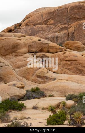 Blick auf die Wanderlandschaft im Joshua Tree National Park, Kalifornien Stockfoto