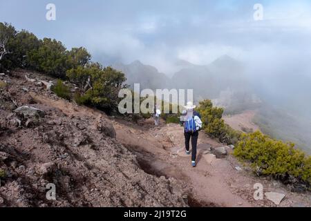 Wanderer auf dem Weg zum Gipfel des Pico Ruivo, Madeira, Portugal Stockfoto