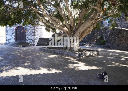 Ermita de la Immaculada Concepcion, Bergdorf Masca im Teno-Gebirge, Masca, Masca, Teneriffa, Spanien Stockfoto