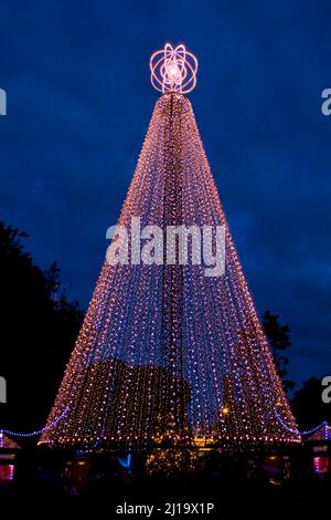 The Telecom Christmas Tree, Victoria Park, Auckland, Neuseeland, Stockfoto