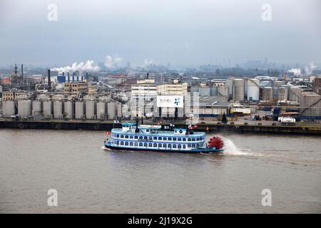 Passagierschiff Lousianna Star auf der Noderelbe vor dem Chemiewerk Sasol Wax, Hamburg Stockfoto