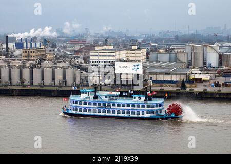 Passagierschiff Lousianna Star auf der Noderelbe vor dem Chemiewerk Sasol Wax, Hamburg Stockfoto