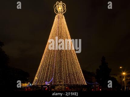 The Telecom Christmas Tree, Victoria Park, Auckland, Neuseeland, Stockfoto