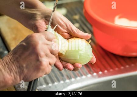 Nahaufnahme einer Köchin in der Küche am Waschbecken, die die Haut mit einem Messer von einer Zwiebel abschält, Deutschland Stockfoto