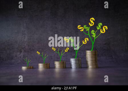 Geldwachstum spart Geld. Obere Baummünzen zu gezeigten Konzept des wachsenden Geschäfts . Stockfoto Stockfoto