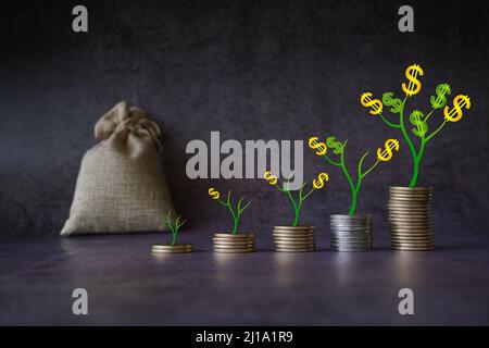 Geldwachstum spart Geld. Obere Baummünzen zu gezeigten Konzept des wachsenden Geschäfts . Stockfoto Stockfoto