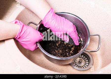 Mit Handschuhen geriebene Hände reinigen den Topf mit verbrannten Speisen mit Metallschwamm im rosa Waschbecken in der Wohnküche Stockfoto