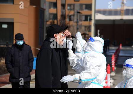Changchun, Chinas Provinz Jilin. 24. März 2022. Ein Arzt nimmt eine Abstrichprobe eines Bewohners für Nukleinsäuretests an einer COVID-19-Teststelle in Changchun, nordöstlich der Provinz Jilin, ab, 24. März 2022. Quelle: Zhang Jian/Xinhua/Alamy Live News Stockfoto