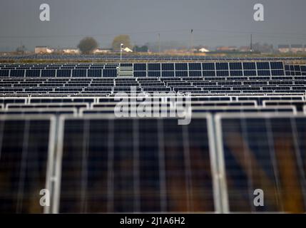 Turves, Großbritannien. 23. März 2022. Die Sonne scheint auf den Solarzellen auf diesem Solarpark in der Nähe von Turves, Cambridgeshire, Großbritannien, die Energie für Energieunternehmen bereitstellen. Kredit: Paul Marriott/Alamy Live Nachrichten Stockfoto