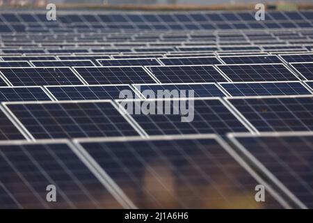 Turves, Großbritannien. 23. März 2022. Die Sonne scheint auf den Solarzellen auf diesem Solarpark in der Nähe von Turves, Cambridgeshire, Großbritannien, die Energie für Energieunternehmen bereitstellen. Kredit: Paul Marriott/Alamy Live Nachrichten Stockfoto