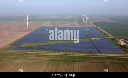 Turves, Großbritannien. 23. März 2022. Die Sonne scheint auf den Solarzellen auf diesem Solarpark in der Nähe von Turves, Cambridgeshire, Großbritannien, die Energie für Energieunternehmen bereitstellen. Kredit: Paul Marriott/Alamy Live Nachrichten Stockfoto