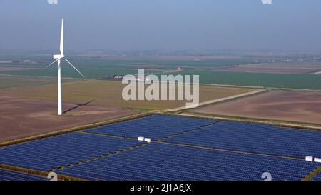 Turves, Großbritannien. 23. März 2022. Die Sonne scheint auf den Solarzellen auf diesem Solarpark in der Nähe von Turves, Cambridgeshire, Großbritannien, die Energie für Energieunternehmen bereitstellen. Kredit: Paul Marriott/Alamy Live Nachrichten Stockfoto