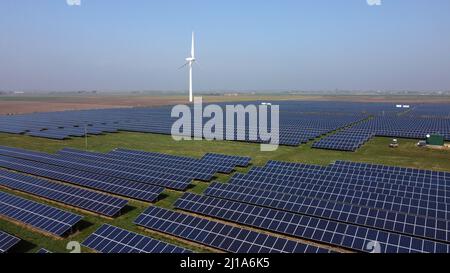 Turves, Großbritannien. 23. März 2022. Die Sonne scheint auf den Solarzellen auf diesem Solarpark in der Nähe von Turves, Cambridgeshire, Großbritannien, die Energie für Energieunternehmen bereitstellen. Kredit: Paul Marriott/Alamy Live Nachrichten Stockfoto