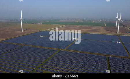 Turves, Großbritannien. 23. März 2022. Die Sonne scheint auf den Solarzellen auf diesem Solarpark in der Nähe von Turves, Cambridgeshire, Großbritannien, die Energie für Energieunternehmen bereitstellen. Kredit: Paul Marriott/Alamy Live Nachrichten Stockfoto