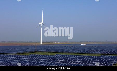 Turves, Großbritannien. 23. März 2022. Die Sonne scheint auf den Solarzellen auf diesem Solarpark in der Nähe von Turves, Cambridgeshire, Großbritannien, die Energie für Energieunternehmen bereitstellen. Kredit: Paul Marriott/Alamy Live Nachrichten Stockfoto