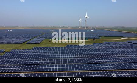 Turves, Großbritannien. 23. März 2022. Die Sonne scheint auf den Solarzellen auf diesem Solarpark in der Nähe von Turves, Cambridgeshire, Großbritannien, die Energie für Energieunternehmen bereitstellen. Kredit: Paul Marriott/Alamy Live Nachrichten Stockfoto