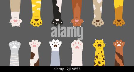 Flauschiges, mehrfarbiges Katzenpfoten-Set. Niedliche Feline Kupplungen isoliert auf grauem Hintergrund. Vektor-Illustration für Haustiere, Haustier, Kätzchen, Konzept Stock Vektor