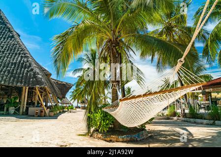 Restaurant auf dem Sand mit Palmen und Hängematte. Sansibar, Tansania Stockfoto