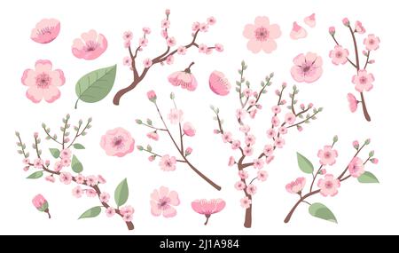 Blühende Sakura-Zweige. Apfel-, Mandel-, Pfirsich- oder Kirschbaumblüten, Zweige mit rosa Blüten. Vektor-Illustration für den Frühling in Asien, Dekoration, n Stock Vektor